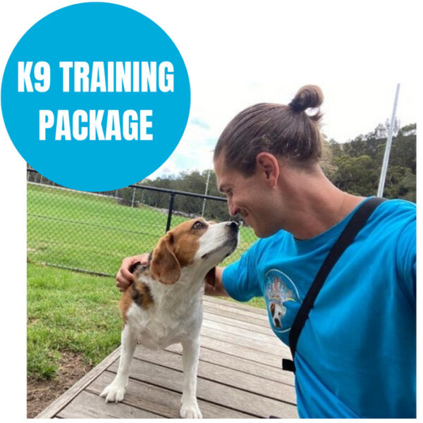 DOG WALKING - K9 training package