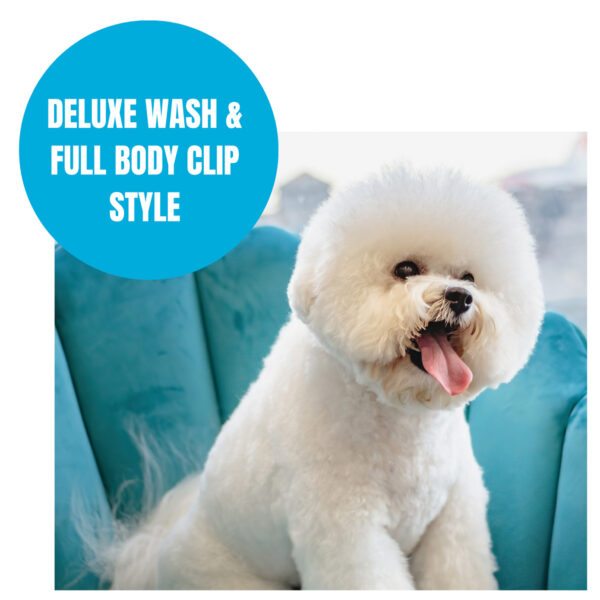 Deluxe wash and clip 6