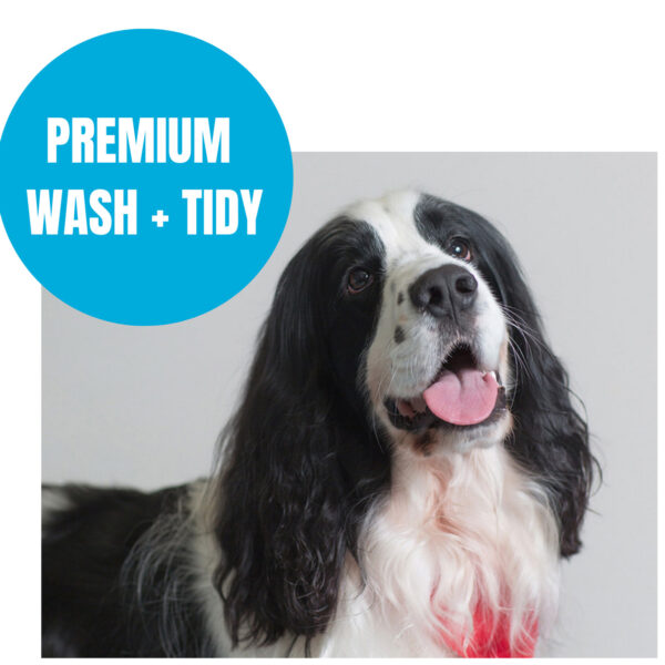 Premium wash & tidy sdfw